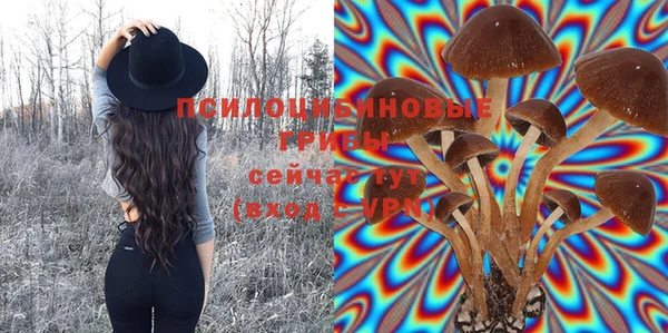 твердый Алексин