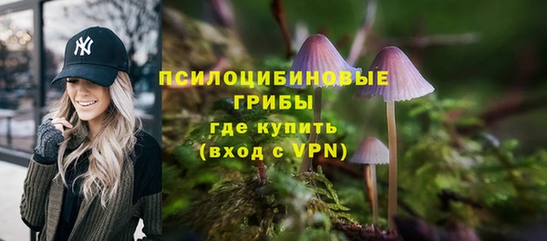 твердый Алексин