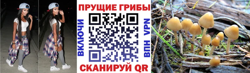 Псилоцибиновые грибы мицелий даркнет сайт Батайск