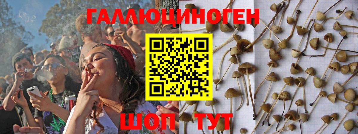 купить наркотик  Псилоцибиновые грибы Cubensis  Галлюциногенные грибы прущие грибы  Вход с VPN  Батайск 