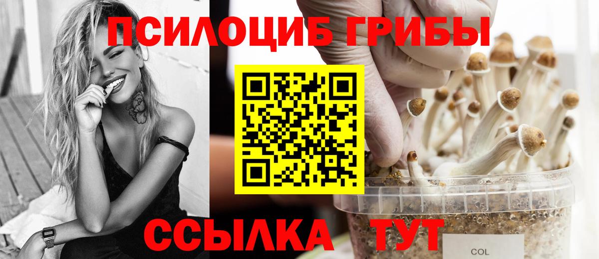 Псилоцибиновые грибы Psilocybe Батайск