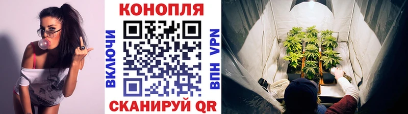 Конопля Amnesia  KRAKEN ссылка  Батайск 